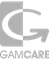 Footer4 logo